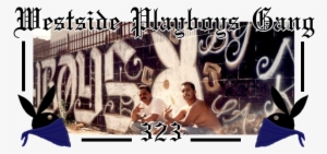 323 Westside Playboys Gang