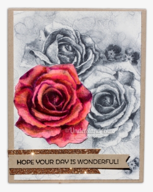 Built For Free Using - Garden Roses