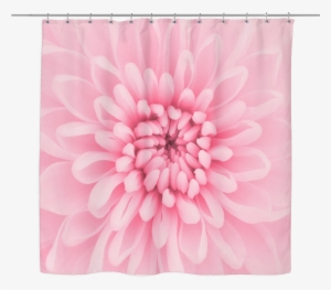 Chrysanthemum Flower Shower Curtain - Peach Chrysanthemum