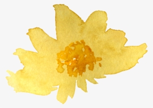 Watercolor Yellow Chrysanthemum Png - Leaf