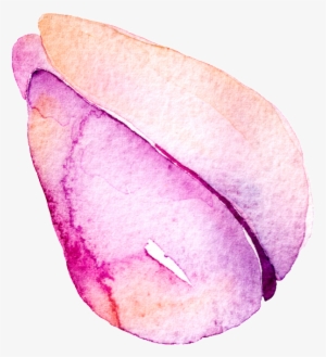 Purple Flower Hand Painted Watercolor Cartoon Transparent - Watercolor Painting