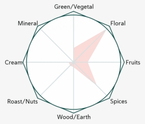 Chrysanthemum Flowers Flavour Wheel - Tea