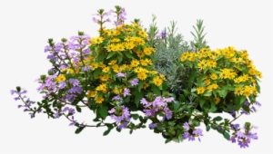 - - Pepper Agro Coir Planter Coco Fiber Flower Pots 10