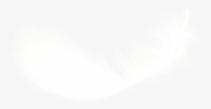 Plumas De Angel Png - Imagenes De Plumas De Angel