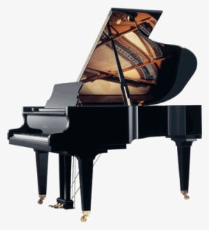 Our Pianos & Services - Schimmel K195