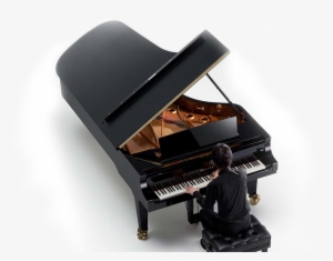 Now Is The Time To Renew Your Passion For Music And - Cfx Yamaha Premium Piano