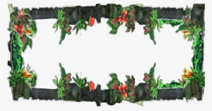 Free Jungle Border Png - Jungle Borders