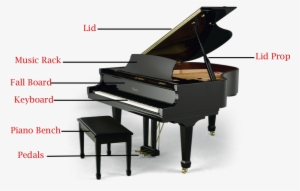Grand Pianos Have A Few Major Piano Parts - Baby Grand Piano Png