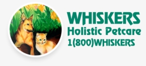 Shop Now - New York City