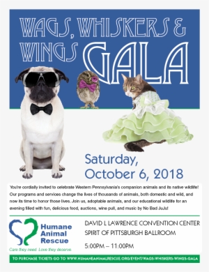 Purchase Tickets - Motorola Moto G5 Plus Leren Portemonnee Hoesje Dog