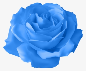 Blue Rose Transparent Png Clip Art Image - Orange Rose Flower Png