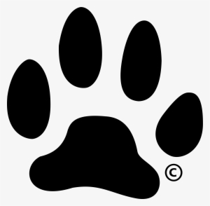 Jpg - Png - Black Paw Png