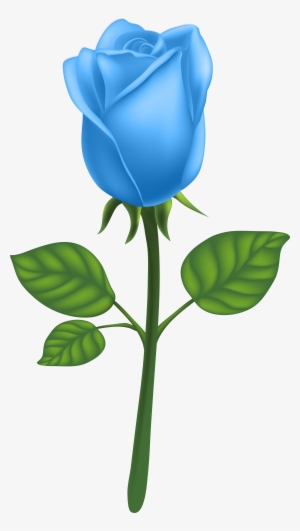 Garden Roses Adobe Illustrator Clip Art Blue - Clip Art