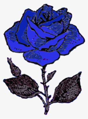 Rose - Blue Rose Drawing