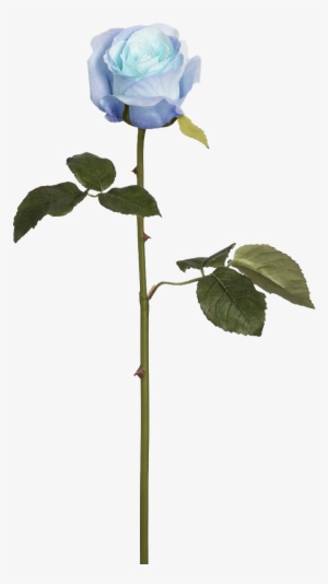 Image Of Blue Rose Long Sleeve T-shirt - Umělá Květina Sia Home Fashion Růže Růžová 52cm