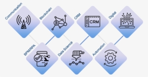 For The Past Decade, Blue Rose Experts Have Provided - Gold