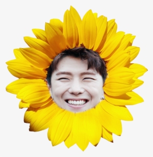 10/06 321 S/v - Transparent Flower Png Sunflower