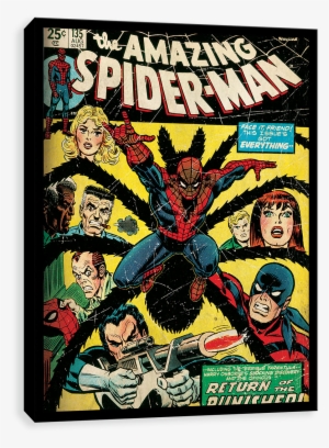 Spider-man Punisher - Amazing Spider Man 135
