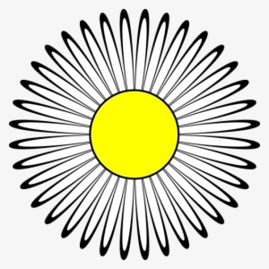 Petals,plant,flowers - Bangladesh Karigori Shikkha Board