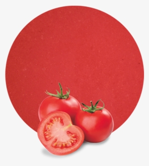 Copper, Potassium, Vitamin K And They Are A Great Source - Rutgers Tomato (red) 4 Plants - Great For Canning