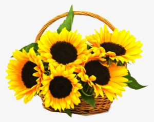 Cell Traditional Basket Online - Sunflower Basket Png