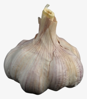 Ainsley Harriott Png - Sarımsak Png