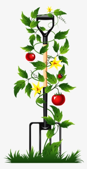 Garden - Automatic Watering System