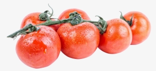 Free Png Tomato Png Images Transparent - Portable Network Graphics
