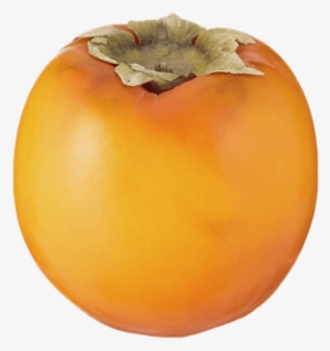 Whole Kaki Fruit - Fruta De Arbol Png