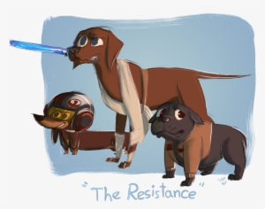 Dog Star Wars Corgi Puppies Dogs Finn Bulldog English