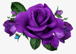 Skrap Olinka - Purple Rose Png Hd