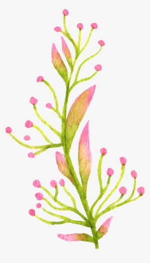 Hand Painted Colored Flowers And Plants Watercolor - Watercolor Painting