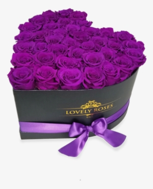 Lovely Roses Carefully Selected And Treated - Garden Roses