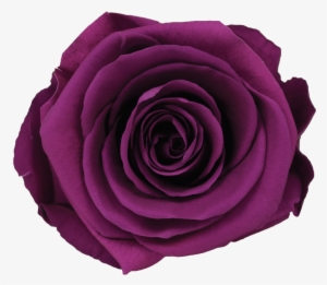Single Rose Votive
