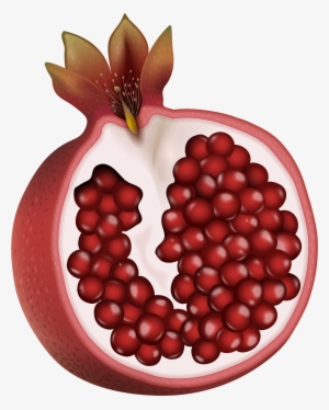 Pomegranate Clipart Png