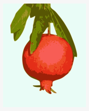 Pomegranate Png