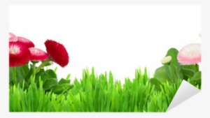 Green Grass With Daisy Flowers Border Sticker • Pixers® - Modèle D Herbe Verte Avec Des Fleurs