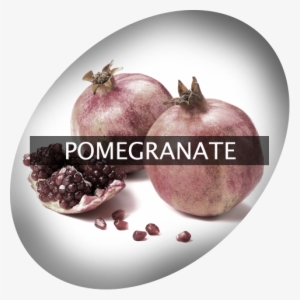 Landingimage Igrow Pomegranate - Scent Fill Pomegranate Verbena Plug In Refill