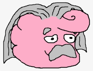 Most Of These Analyses Outline Anatomical Differences
