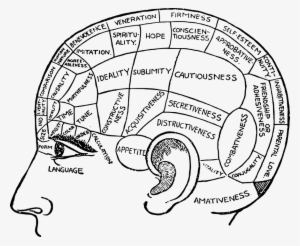 Jpg Royalty Free Stock Cartoon At Getdrawings Com Free - Area Of Headache And Meaning