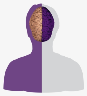 Left Brain/right Brain - Illustration