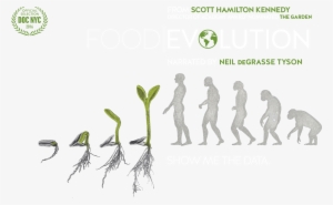 Evolution Food