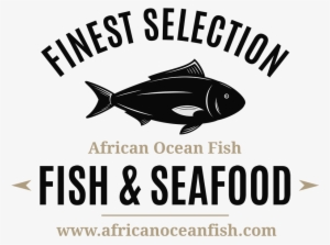 African Ocean Fish - Ray-finned Fish