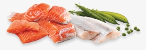 Crave™ Salmon & Ocean Fish Flavour - Crave Grain Free High Protein Dry Cat Food Standard