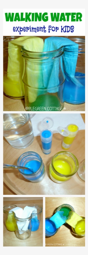 This Is An Interesting Way To Teach Your Child About - Child