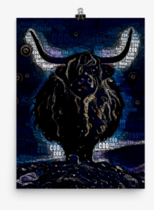 Heilan' Coo - Bison