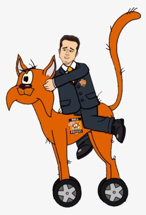 Hull City Orange Cat - Cat