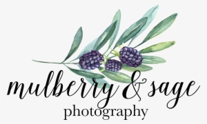 Mulberrysage Final Kimberly Paige Designs