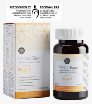 A Comprehensive - Prenatal Ease Stage 1