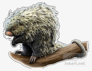 Brazilian Porcupine Decal - Brazilian Porcupine Large Mug